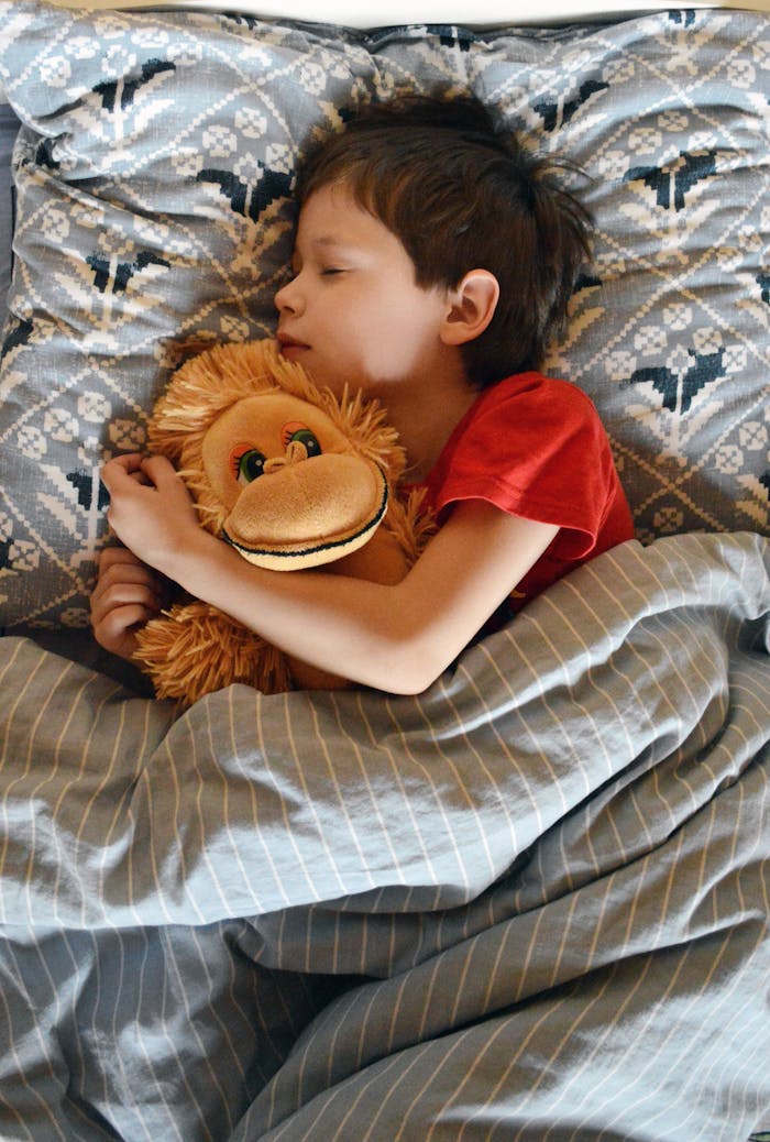 Top view of innocent little boy cuddling plush monkey while sleeping peacefully in comfortable bed